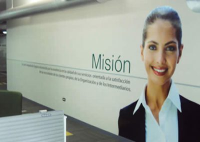 Banesco Seguros