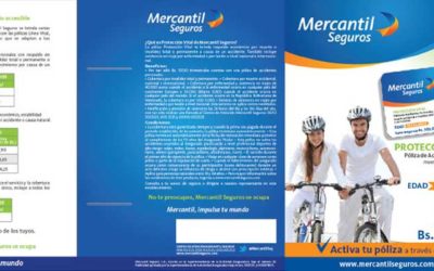 Mercantil Seguros