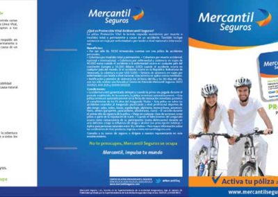 Mercantil Seguros